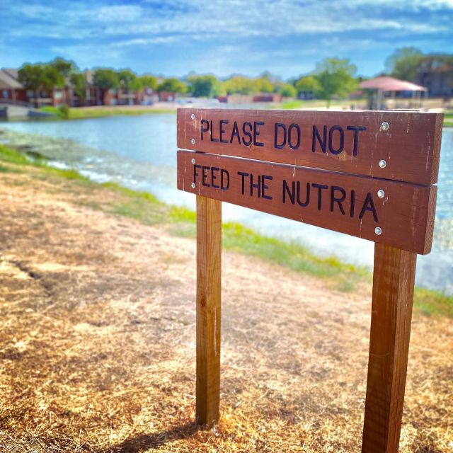 Highlights for the grid from two weeks in Texas. #dallas #austin #millionbazillion #dontfeedthenutria #topochico #mexicancoke #brewery #theranch #freeparking #coloradoriver #congressstreetbridge #craftcocktails #rooseveltroom