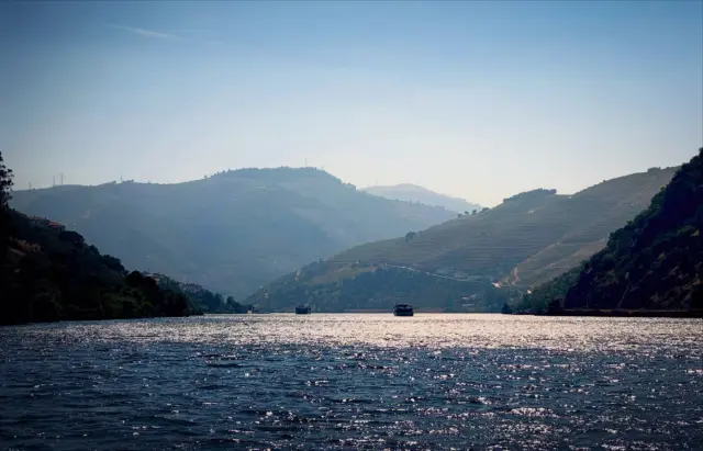 Highlights from the day trip to the Douro Valley for the main grid feed. See more in the Porto Highlights stories on my profile. #douro #portugal #amarante #winery #portwine